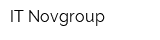 IT Novgroup