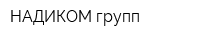 НАДИКОМ-групп