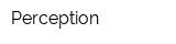 Perception