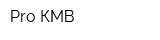 Pro КМВ