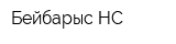 Бейбарыс НС