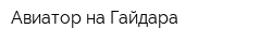 Авиатор на Гайдара