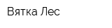 Вятка Лес