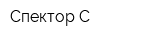 Спектор-С