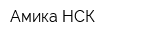 Амика НСК