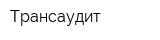Трансаудит