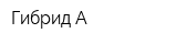 Гибрид-А