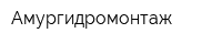 Амургидромонтаж