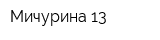 Мичурина 13