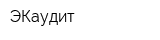 ЭКаудит