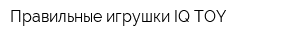 Правильные игрушки IQ TOY