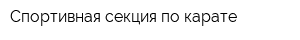 Спортивная секция по карате