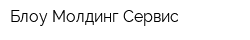 Блоу Молдинг-Сервис