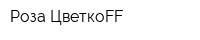 Роза ЦветкоFF