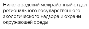 Нижегородский межрайонный отдел регионального государственного экологического надзора и охраны окружающей среды