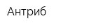 Антриб