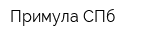 Примула-СПб
