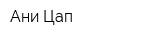 Ани Цап