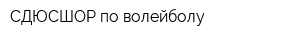 СДЮСШОР по волейболу