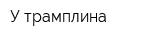 У трамплина