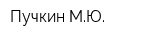 Пучкин МЮ