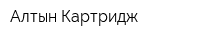 Алтын-Картридж