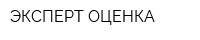 ЭКСПЕРТ ОЦЕНКА