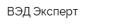 ВЭД-Эксперт