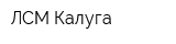 ЛСМ-Калуга