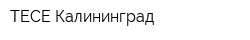 ТECE-Калининград