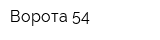 Ворота 54