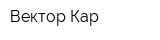 Вектор-Кар