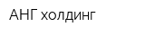 АНГ-холдинг