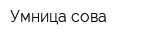 Умница сова