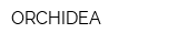 ORCHIDEA