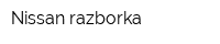 Nissan-razborka