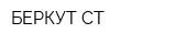 БЕРКУТ-СТ