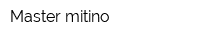 Master mitino