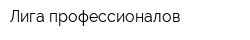 Лига профессионалов
