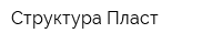 Структура Пласт