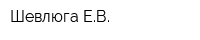 Шевлюга ЕВ