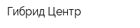 Гибрид-Центр