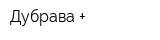 Дубрава +