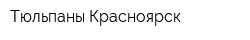 Тюльпаны Красноярск