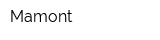 Mamont