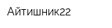 Айтишник22