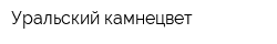 Уральский камнецвет