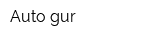 Auto-gur