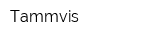 Tammvis