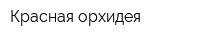 Красная орхидея